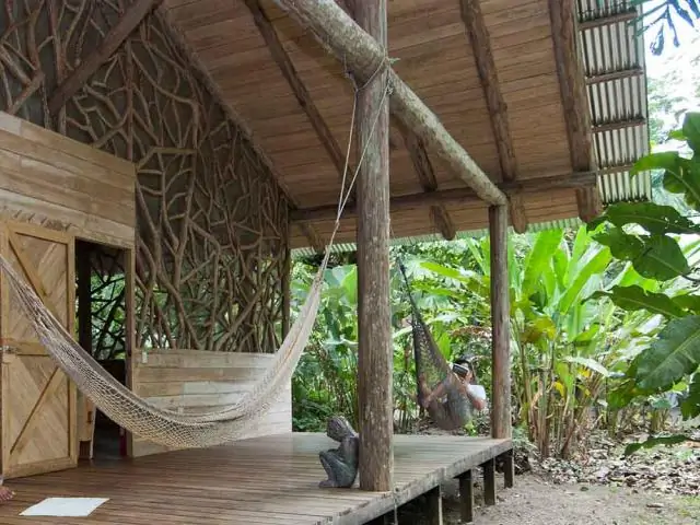 Нахождение пути в тропическом лесу: люди-собиратели обоих полов используют солнце для поиска направления с самого раннего возраста