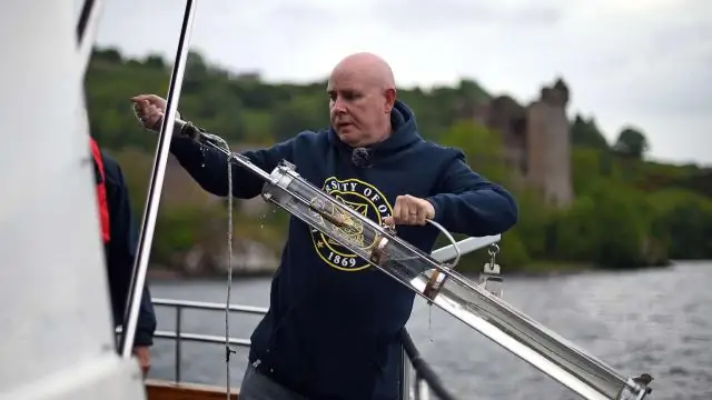 Ученые завершили первую оценку аномалий крови в колонии антарктических пингвинов