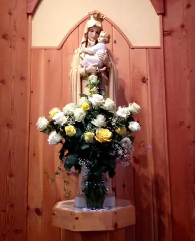 Сестры повышают шансы воспроизводства у азиатских слонов