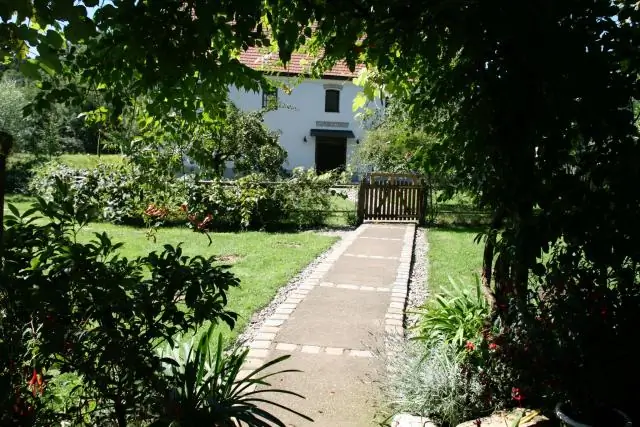 Как изменение климата нарушает взаимоотношения растений и животных