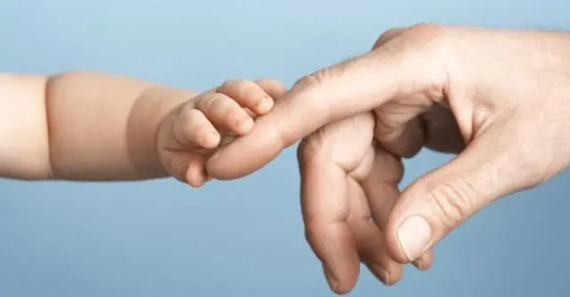 Омары и рефлексы, поврежденные морскими сейсмическими исследованиями