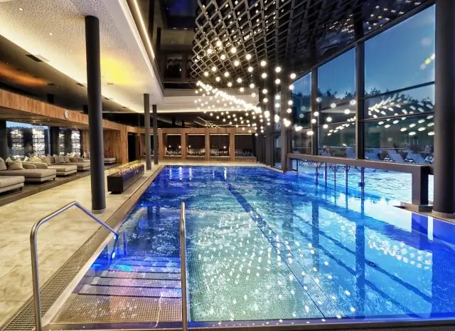 Каракатица может быть яркой, но ее микробиом очень прост