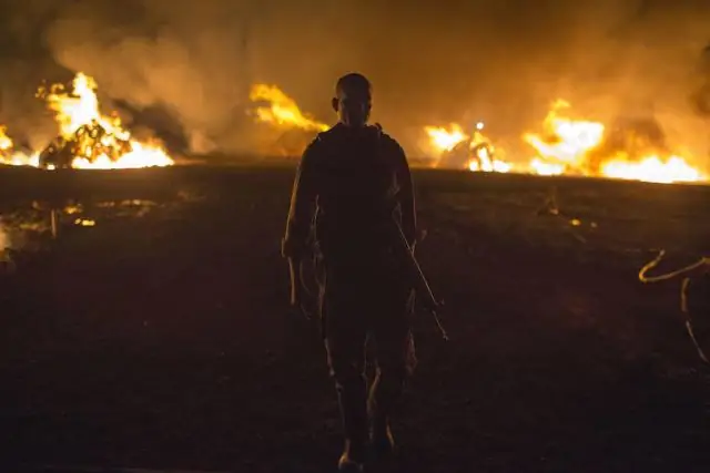 Рост стоимости слоновой кости представляет серьезную угрозу для популяций слонов: исследование впервые выявило тенденции на мировом рынке слоновой кости после запрета на торговлю слоновой костью в 198