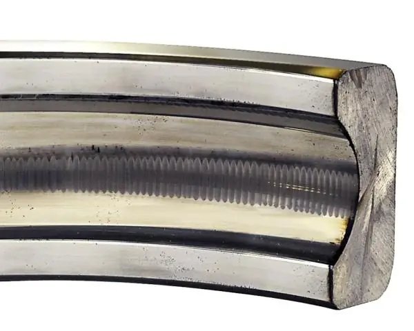 Летучие мыши-паразиты открывают окно в жизнь хозяев