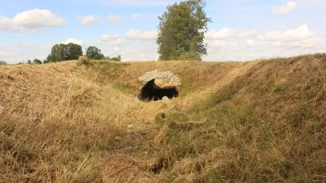 Сбор целых деревьев может увеличить производство биомассы