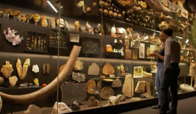 Гражданские ученые дают луч надежды