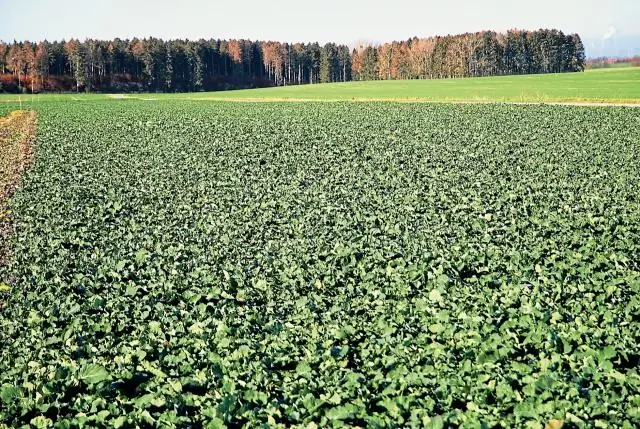 Ученые придумали новые рецепты извлечения соли из морской воды