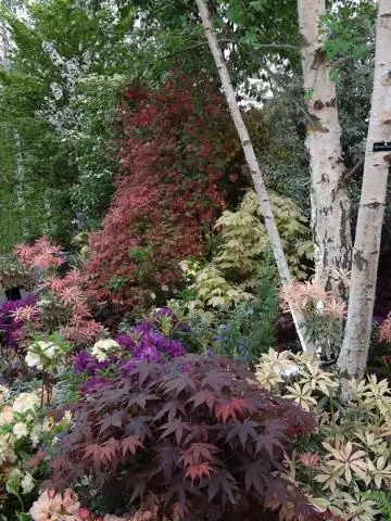 Очистка «темной стороны» искусственных листьев