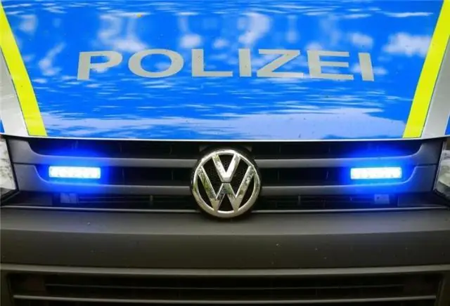 Ранее неизвестный механизм вызывает увеличение потребления лесной воды