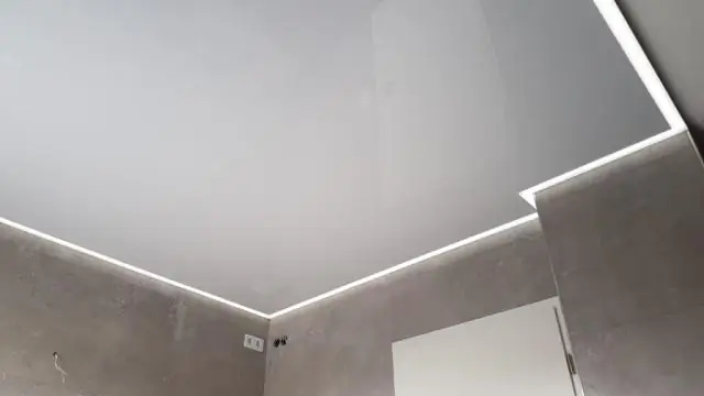 Древний планктон помогает исследователям прогнозировать климат ближайшего будущего