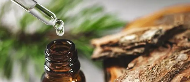 Как микроорганизмы защищают себя от свободных радикалов: Charit&eacute; исследователи открывают новый механизм сопротивления