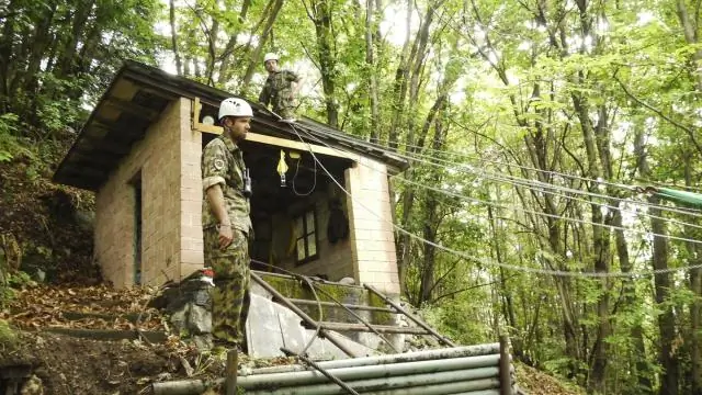 Боясь пум больше, чем волков, йеллоустонский лось справляется с угрозами от обоих хищников