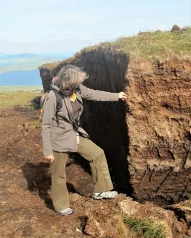 Как лесные пожары поглощают углерод на протяжении столетий и тысячелетий