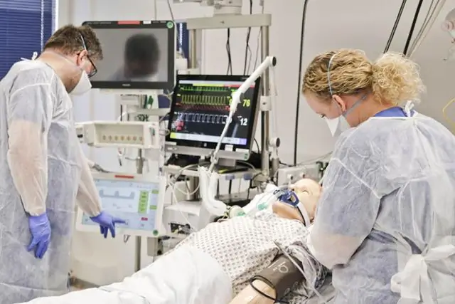 Парадоксальное выживание: изучение эффекта Паррондо в биологии