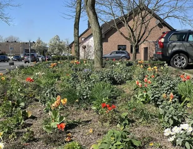 Окраины дорог служат убежищем для опылителей