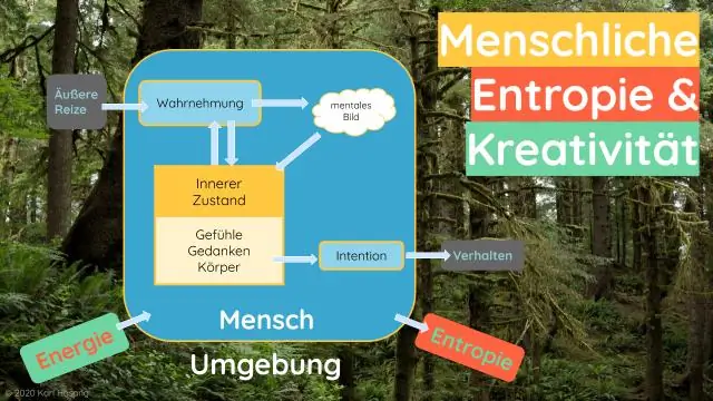 Энтропия объясняет скорость диффузии РНК в клетках