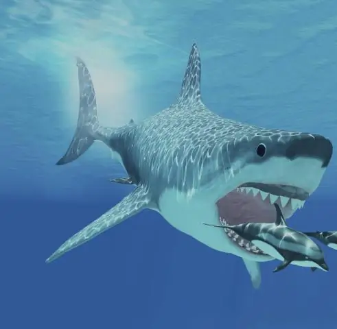 Страх перед хищниками вызывает ПТСР-подобные изменения в мозгу диких животных