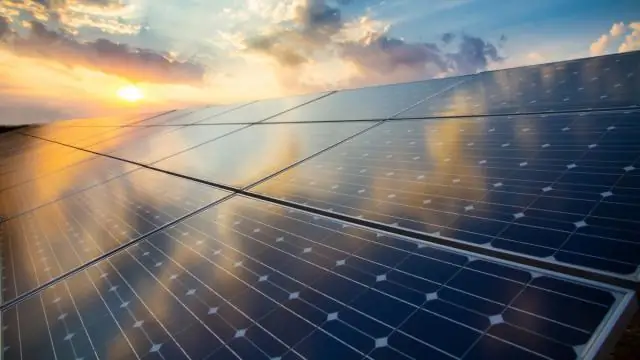 Белковые факторы, увеличивающие выход предшественника биотоплива в микроскопических водорослях