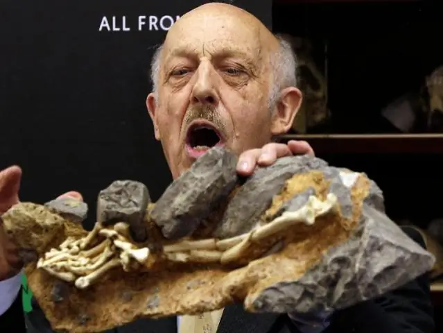 Ученые раскрывают тонкости «выключателя», который обеспечивает дифференцировку клеток