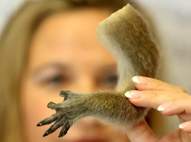 Управление изменяющими форму скелетами клеток: манипуляции биологией и химией в масштабах меньше человеческого волоса