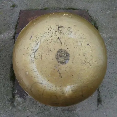 Исследования холеры помогают лучше понять социальную жизнь бактерий: штаммы, меняющие форму, лучше всего подходят для краткосрочного выживания