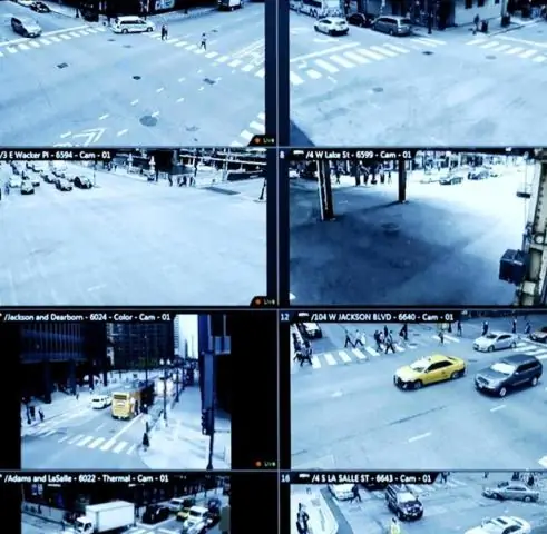 Загрязнение воды в Чикаго может удерживать инвазивных толстолобиков от Великих озер