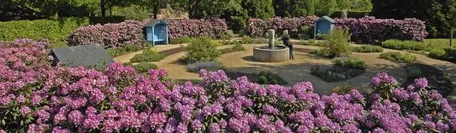 Запах собирает всех певчих птиц во дворе: запах может играть роль в выборе партнера среди певчих птиц, скрещивающихся естественным путем