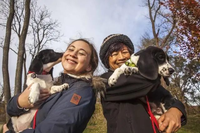 Биологи разработали первый метод расшифровки экспрессии генов: Genomic 'Rosetta Stone' использует мощный алгоритм для идентификации экспрессируемых генов с почти идеальной точностью