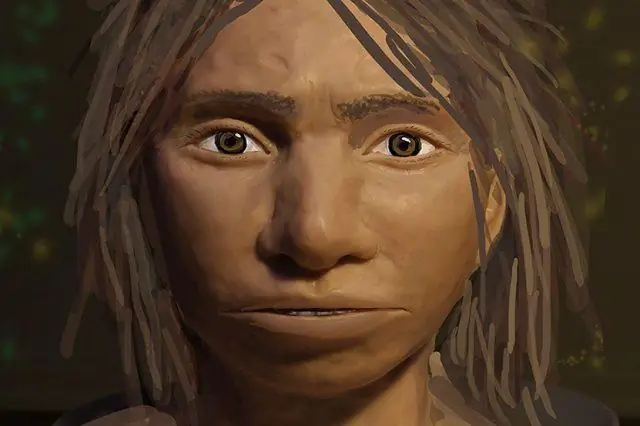 Древние свиньи претерпели полную смену генома после того, как прибыли в Европу