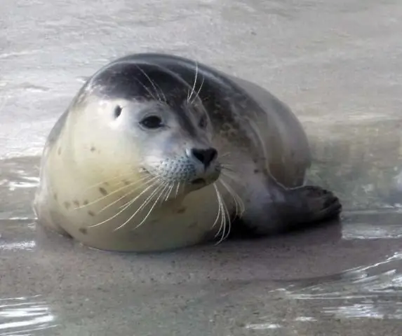 Раскрыта древняя естественная история производства и устойчивости к антибиотикам