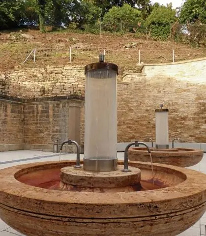 Скрещивание превратило серых белок в черных: доказательства указывают на дефектный ген пигмента, переданный серой белке от лисицы