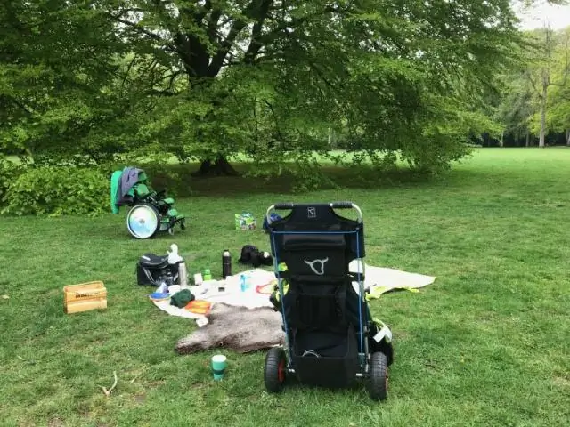 Трудолюбивые термиты имеют решающее значение для экосистем лесов и водно-болотных угодий