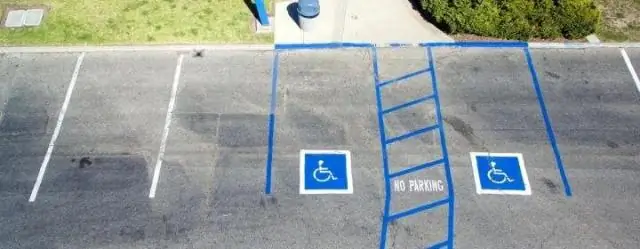 Предвзятость исследований может подвергнуть риску некоторых приматов