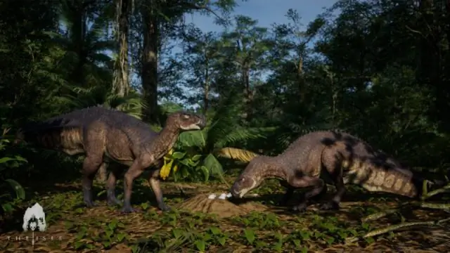 ИИ использовался для проверки древнейшей математической модели эволюции