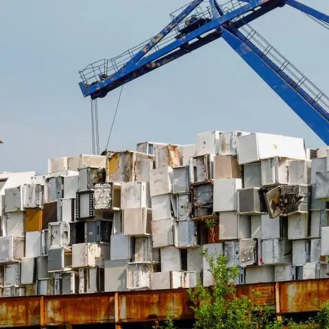 Открытие может проложить путь к выращиванию устойчивых к болезням рисовых культур