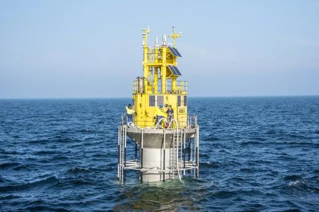 Изменение климата «разрушает» местное разнообразие растений, показало исследование