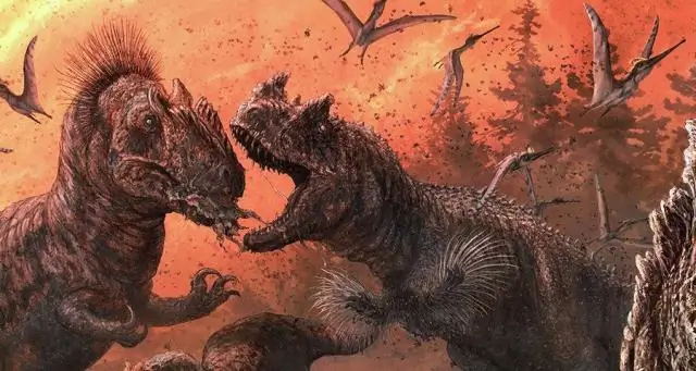 Вымершая карибская птица нашла ДНК после 2500 лет в водной могиле