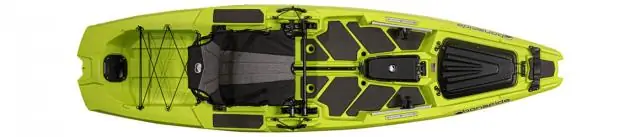 Ураганы стимулируют эволюцию более агрессивных пауков