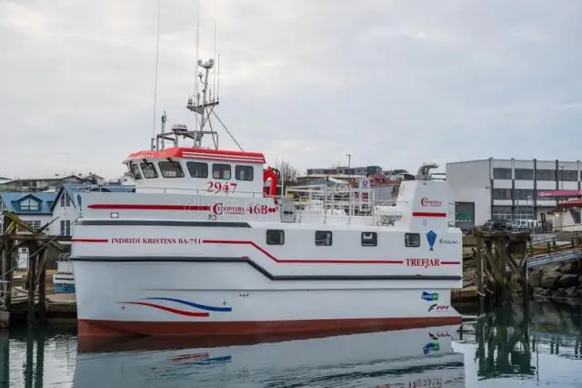 Ярусный промысел препятствует миграции акул