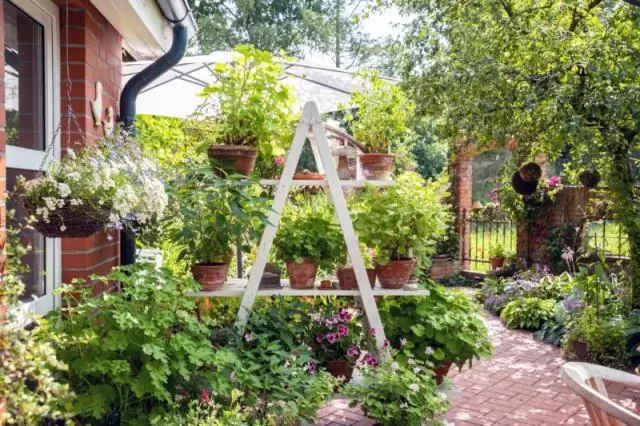 Городские ливневые стоки могут выбрасывать загрязняющие вещества в почву и поверхностные воды