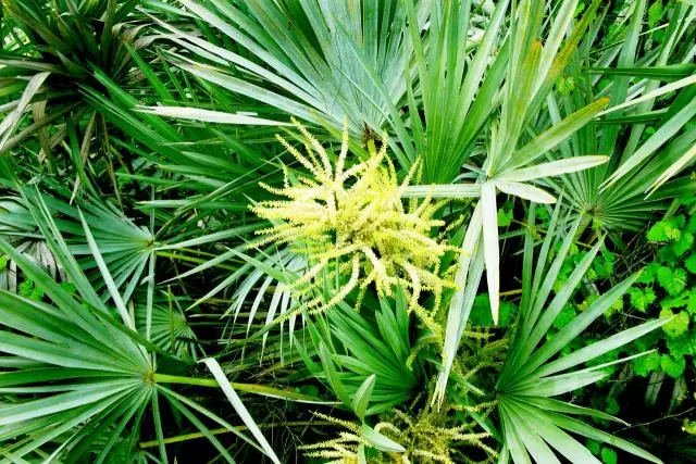 Новые данные указывают на растущий кризис водоснабжения в городах