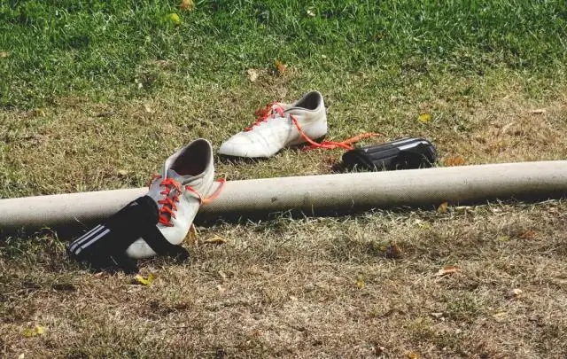 Прогнозирование пыльных условий на несколько месяцев вперед