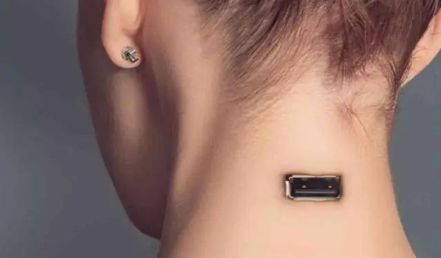 Прослеживая эволюцию видения