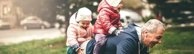 Т-клетки памяти укрываются в костном мозге, повышая иммунитет у мышей с ограниченной диетой