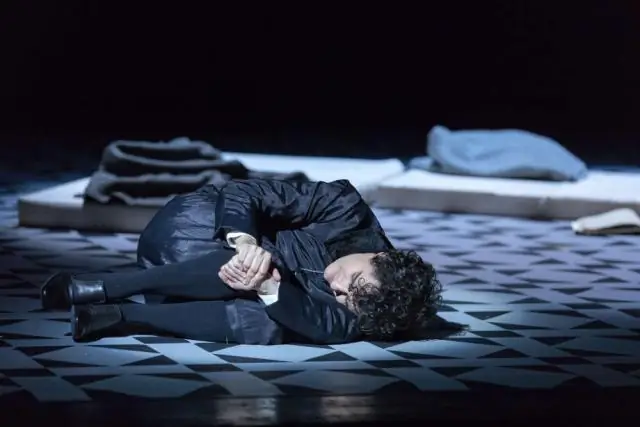 Успешный сбор яиц открывает новые возможности для спасения северного белого носорога