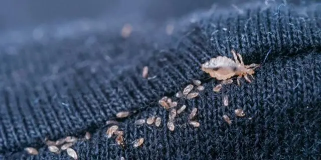 Эволюция, созданная паразитами