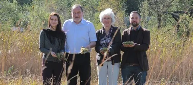 Способности солончаков поглощать углерод может угрожать загрязнение азотом