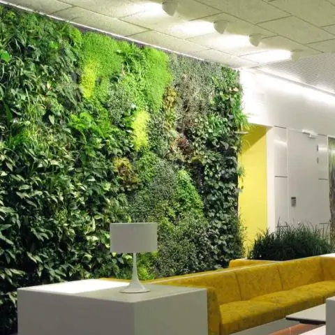 Как растения измеряют поглощение углекислого газа