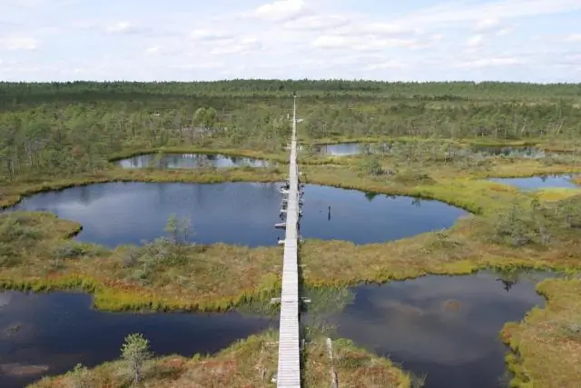 Для достижения Целей в области устойчивого развития необходимы глубокие преобразования