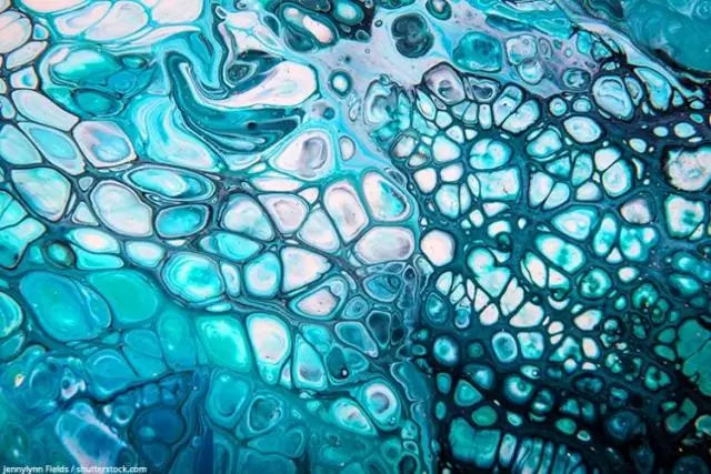 Свойства клеток, влияющие на формирование тканевых структур